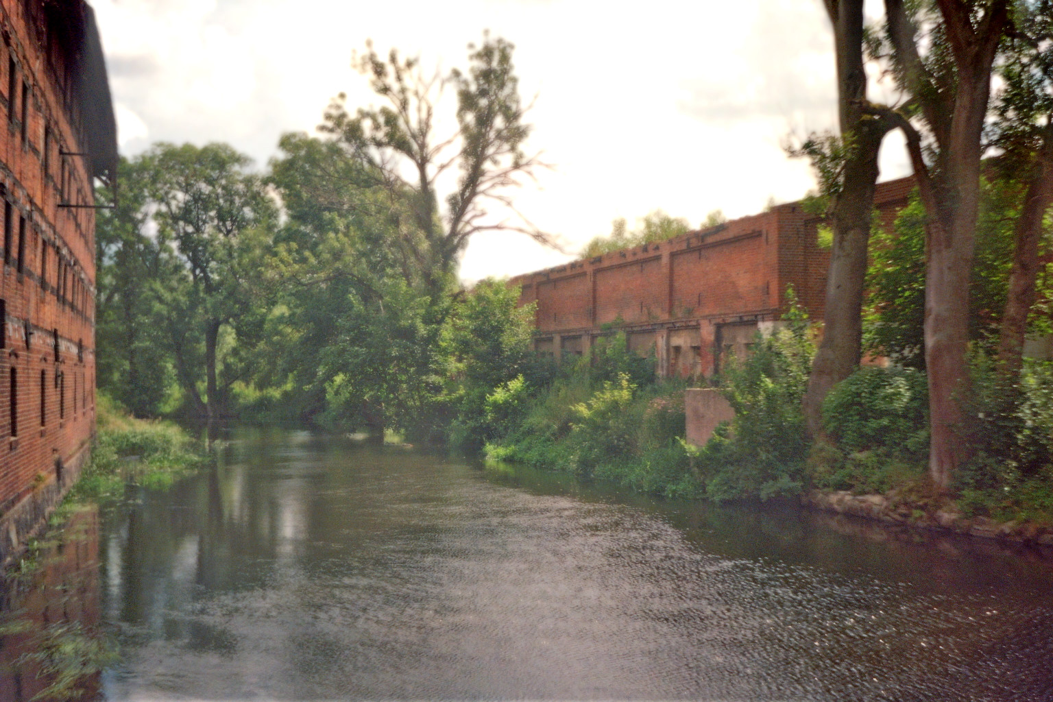 ../Images/Image001_24 (21).jpg